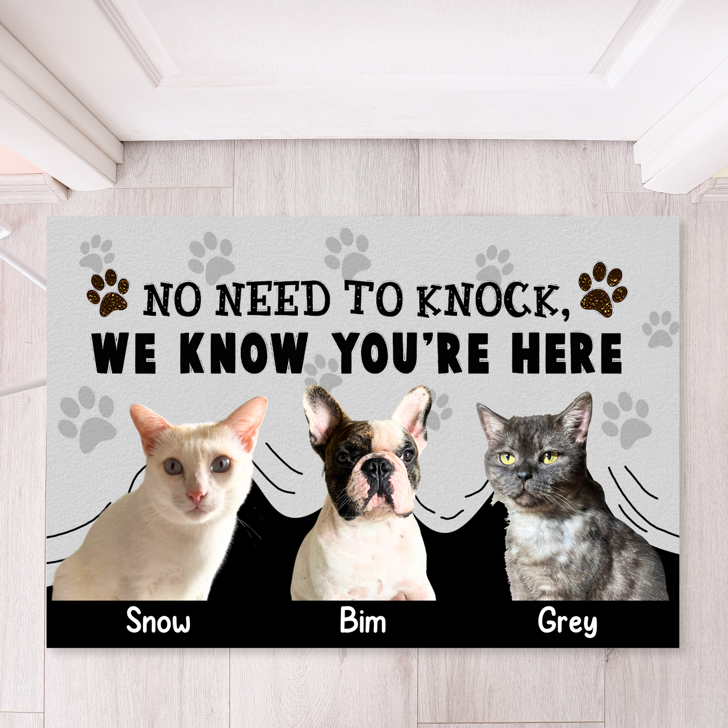 Personalized Pet Doormat, No Need To Knock Doormat, Custom Pet Photo and Name, Gift for Pet Owners