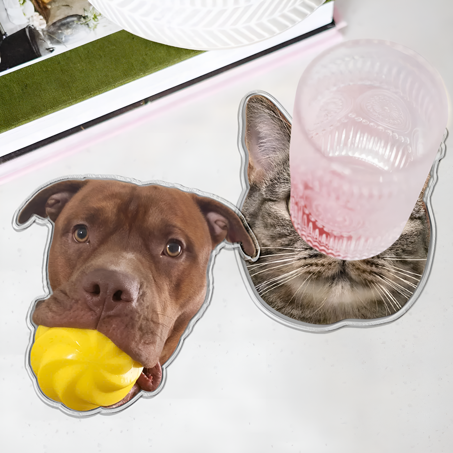 Personalized Pet Acrylic Coaster, Custom Pet Head Photo Coaster, Gift For Pet Owners