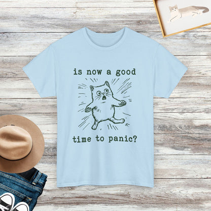 Is Now A Good Time To Panic Shirt, Cute Cat Shirt, Gift For Cat Lover