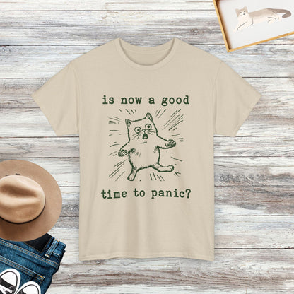 Is Now A Good Time To Panic Shirt, Cute Cat Shirt, Gift For Cat Lover