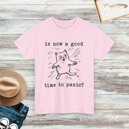 Is Now A Good Time To Panic Shirt, Cute Cat Shirt, Gift For Cat Lover