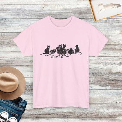 Funny Cat Lineup Shirt, Cute Feline Expression Tee, Cat Lovers Shirt