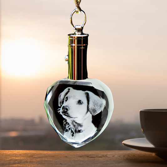 Personalized Pet Photo Crystal LED Keychain, Custom Laser Engraved LED Keychain, Gift For Pet Lover