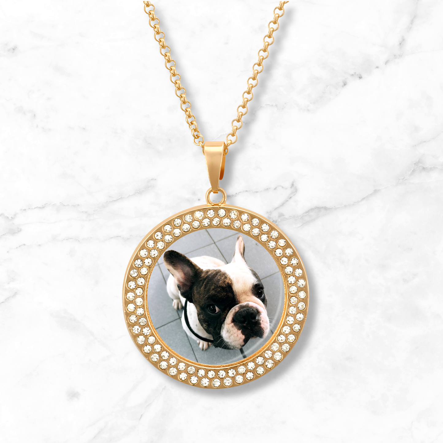 Personalized Pet Photo Diamond Necklace, Custom Pet Photo Necklace, Gift For Pet Owners