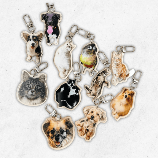 Custom Pet Acrylic Keychain, Personalized Pet Photo Keychain, Gift For Pet Lovers