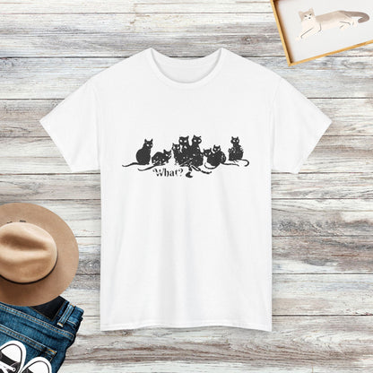 Funny Cat Lineup Shirt, Cute Feline Expression Tee, Cat Lovers Shirt