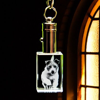 Personalized Pet Photo Crystal LED Keychain, Custom Laser Engraved LED Keychain, Gift For Pet Lover