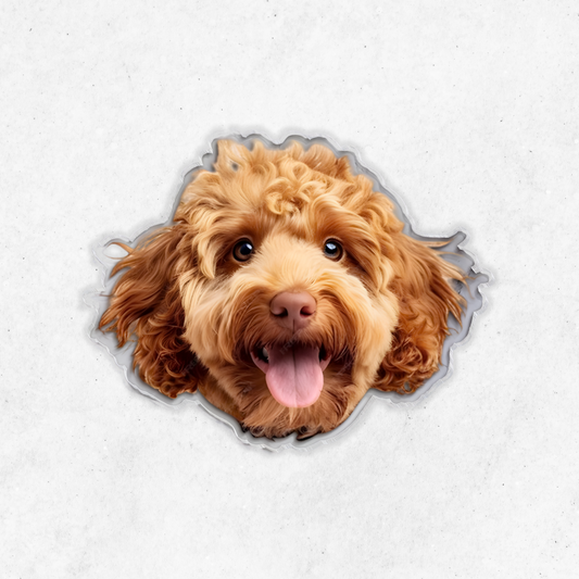 Personalized Pet Acrylic Coaster, Custom Pet Head Photo Coaster, Gift For Pet Owners