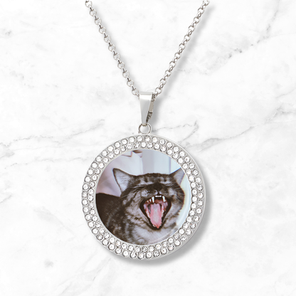 Personalized Pet Photo Diamond Necklace, Custom Pet Photo Necklace, Gift For Pet Owners