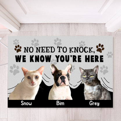 Personalized Pet Doormat, No Need To Knock Doormat, Custom Pet Photo and Name, Gift for Pet Owners