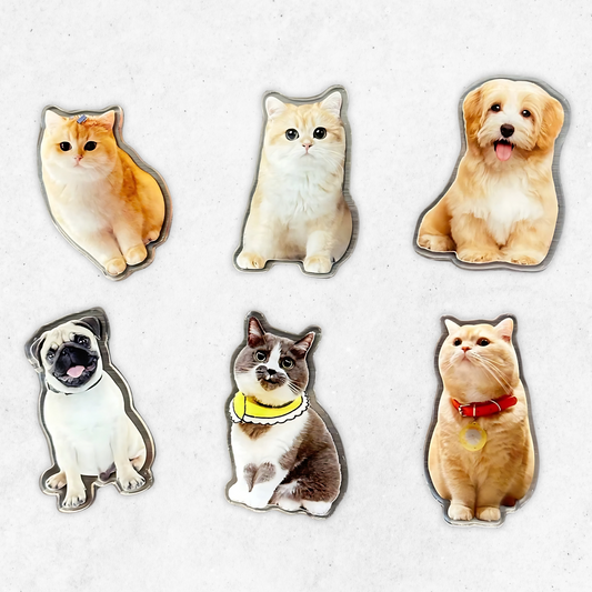 Custom Pet Acrylic Fridge Magnet, Personalized Pet Photo Refrigerator Magnet, Gift For Pet Lovers
