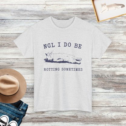 NGL I Do Be Rotting Sometimes T-Shirt, Vintage Funny Cat T-Shirt, Cat Lover Gifts