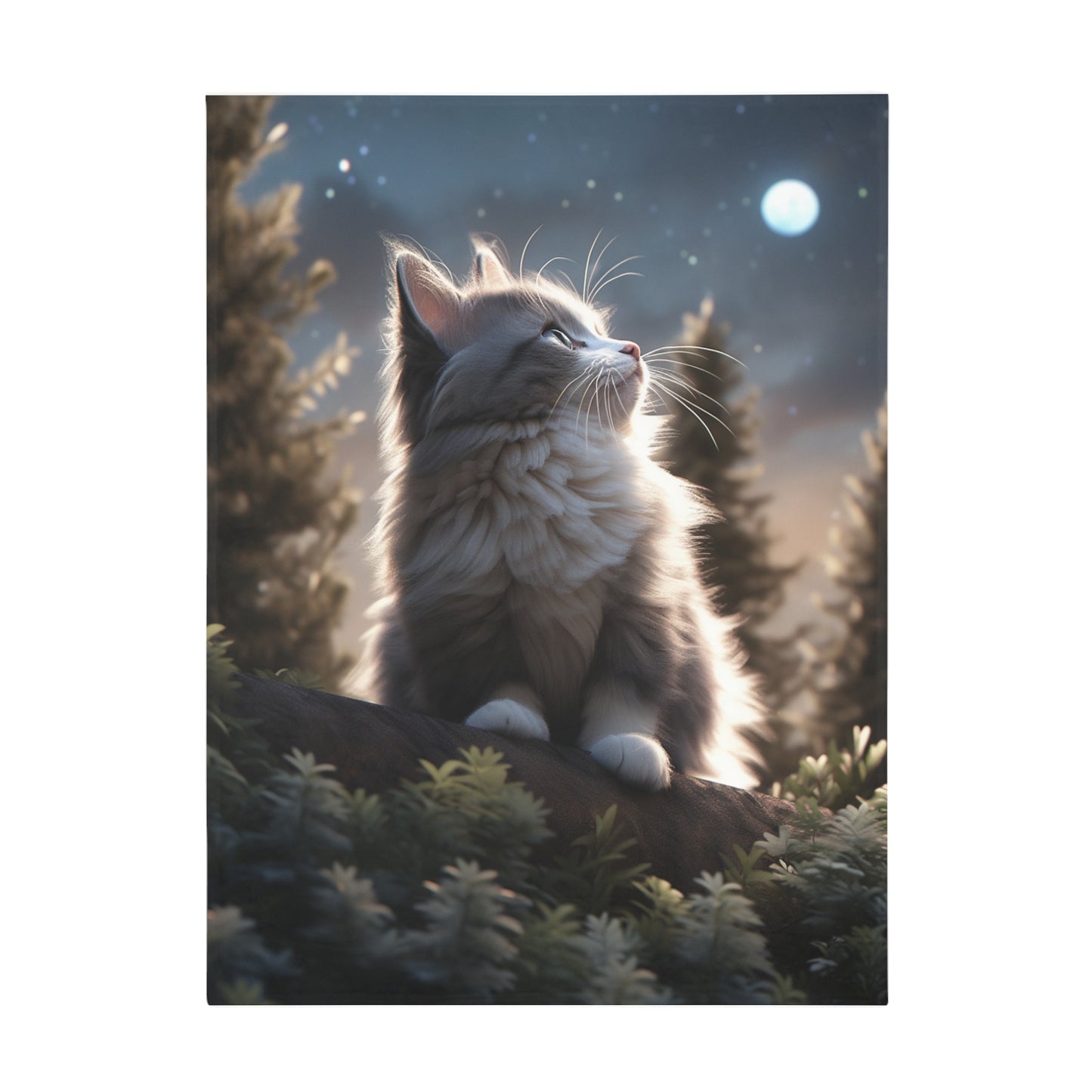 Ragdoll Cat Sitting In The Sky Moonlight Blanket, Cat Lover Gift