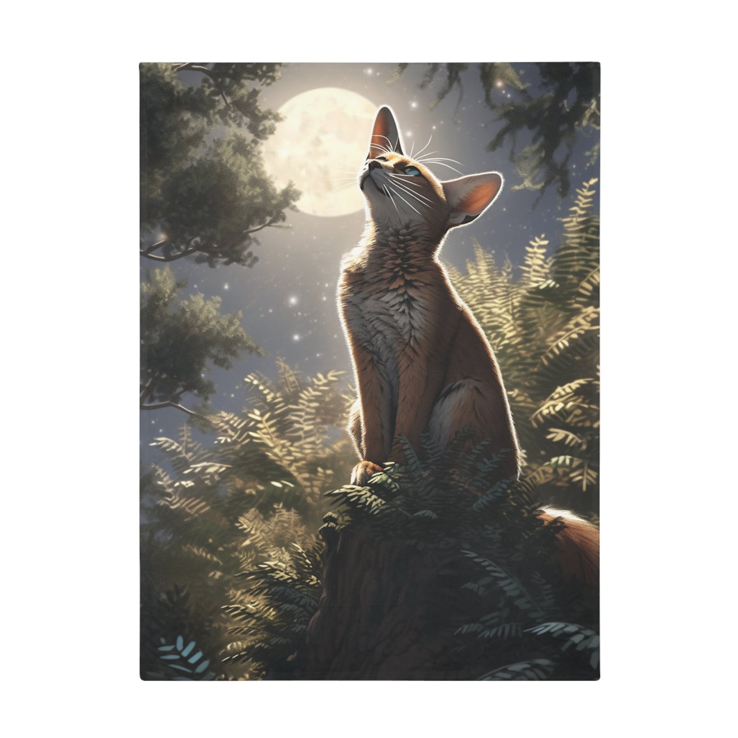 Abyssinian Cat In The Night Sky Moonlight Blanket, Cat Lover Gift