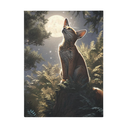 Abyssinian Cat In The Night Sky Moonlight Blanket, Cat Lover Gift