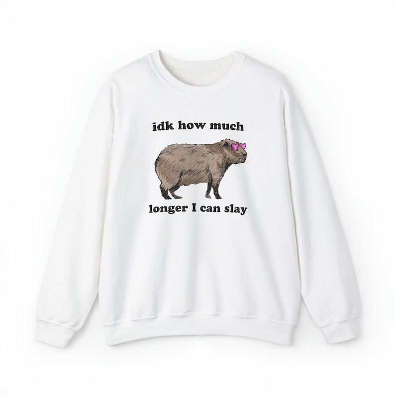 Idk How Much Longer I Can Slay Capybara Sweatshirt Weirdcore Shirts That Go Hard Funny Meme Tee Capybara Sweater Possum Shirt Trash Panda
