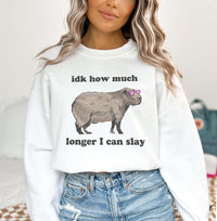 Idk How Much Longer I Can Slay Capybara Sweatshirt Weirdcore Shirts That Go Hard Funny Meme Tee Capybara Sweater Possum Shirt Trash Panda