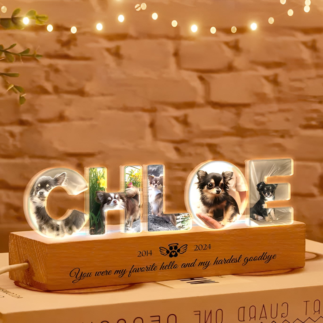 Personalized Pet Name Memorial Night Light, Custom Pet Photo Night Light, Sympathy Gift for Loss of Pet