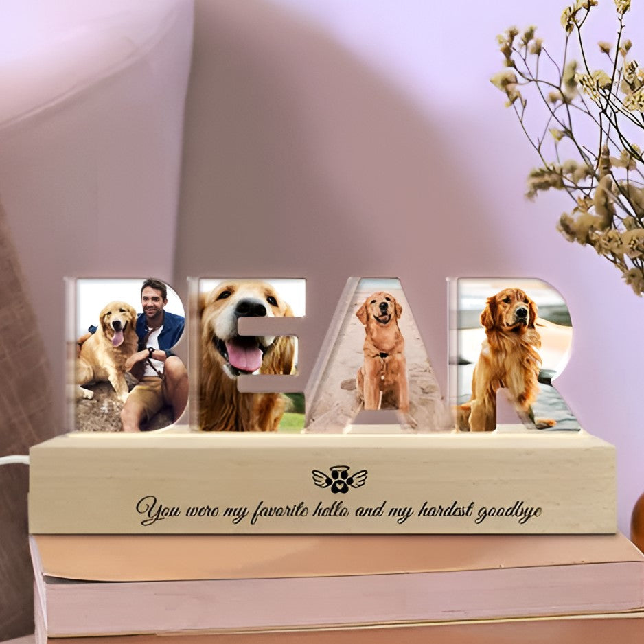 Personalized Pet Name Memorial Night Light, Custom Pet Photo Night Light, Sympathy Gift for Loss of Pet