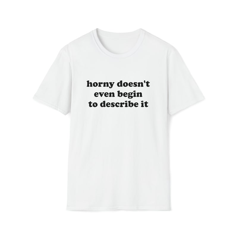Funny Meme TShirt, Horny Doesn't Even BEGIN to Describe it Joke Tee, Gift Shirt - Msix Apparel - T Shirt